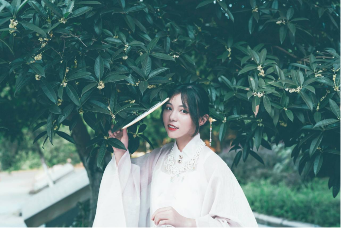 图片 15.png